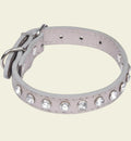 Collier chien strass