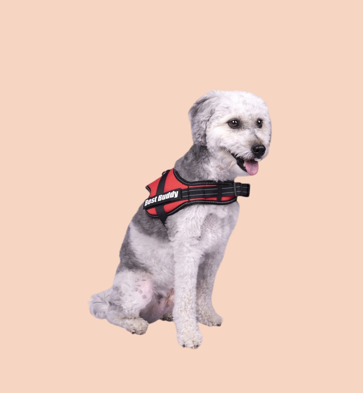 Harnais réglable pour chien Pluto rouge L