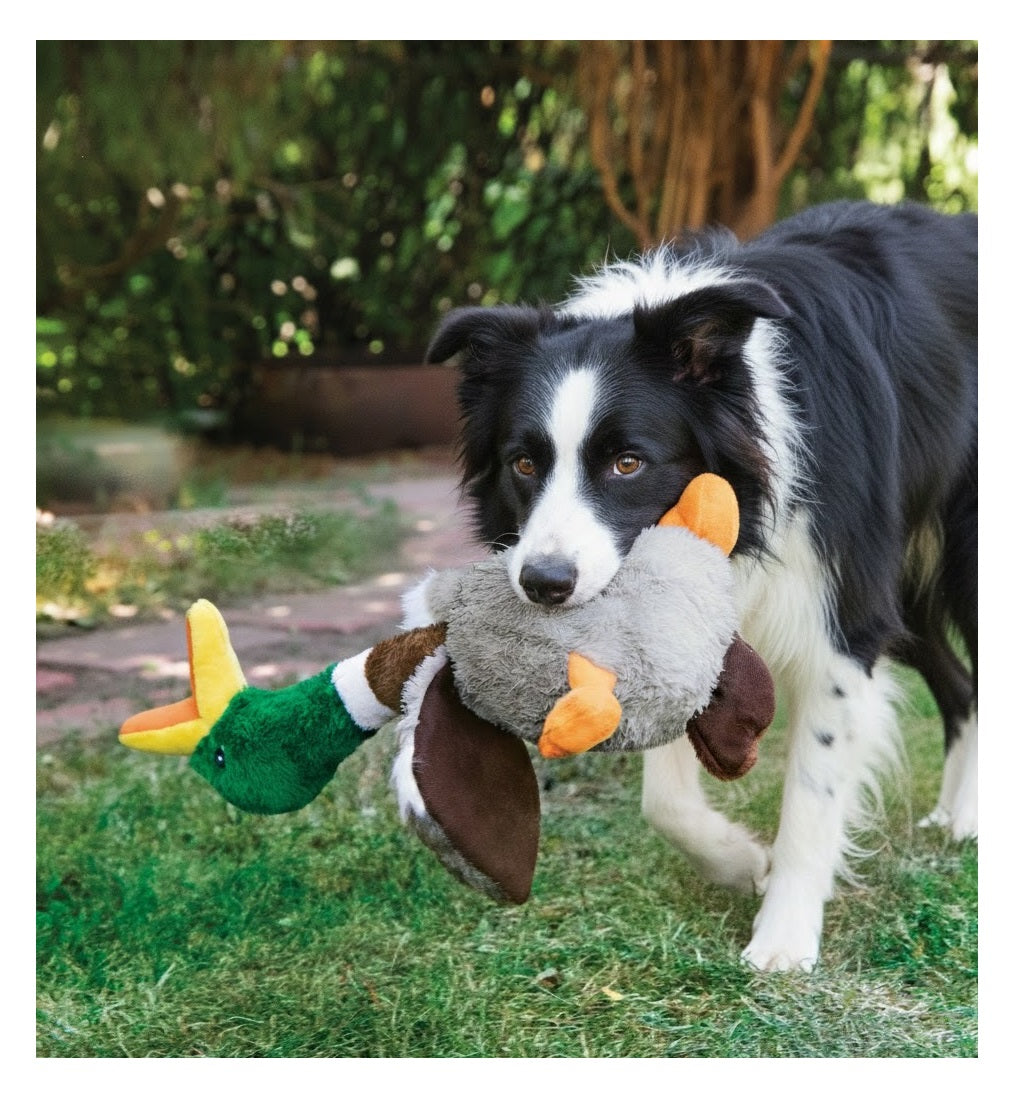 Jeu Kong pour chien Honkers Canard - vue 2