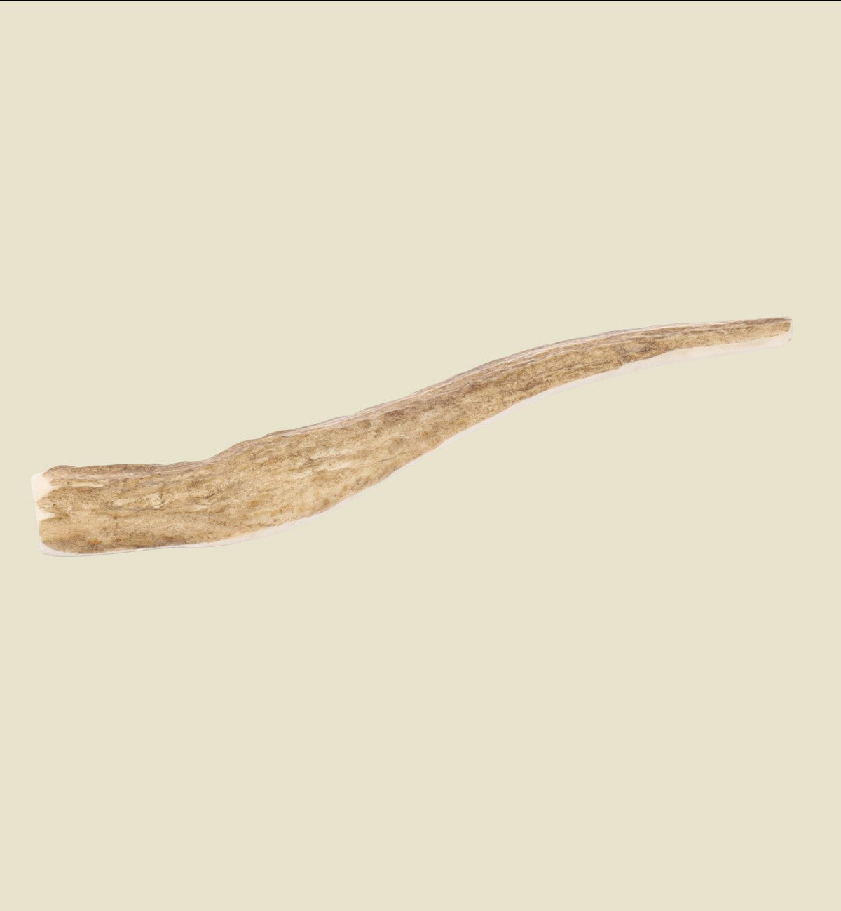 Friandises Nature Bois de cerf Easy