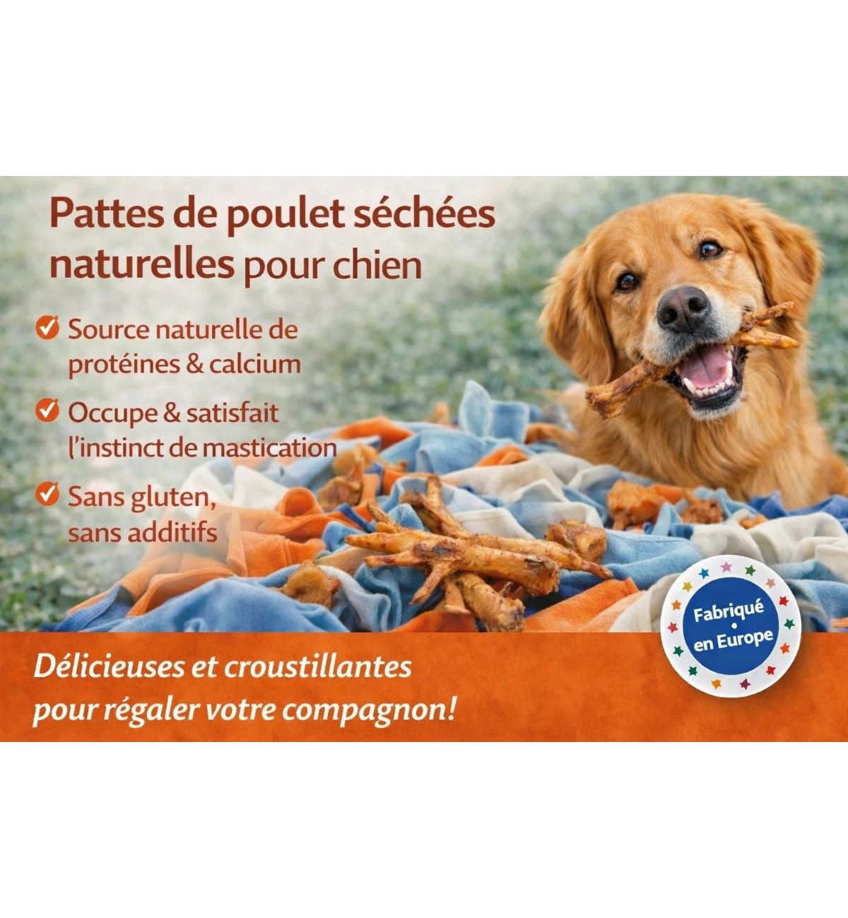 Friandises Nature Patte de poulet