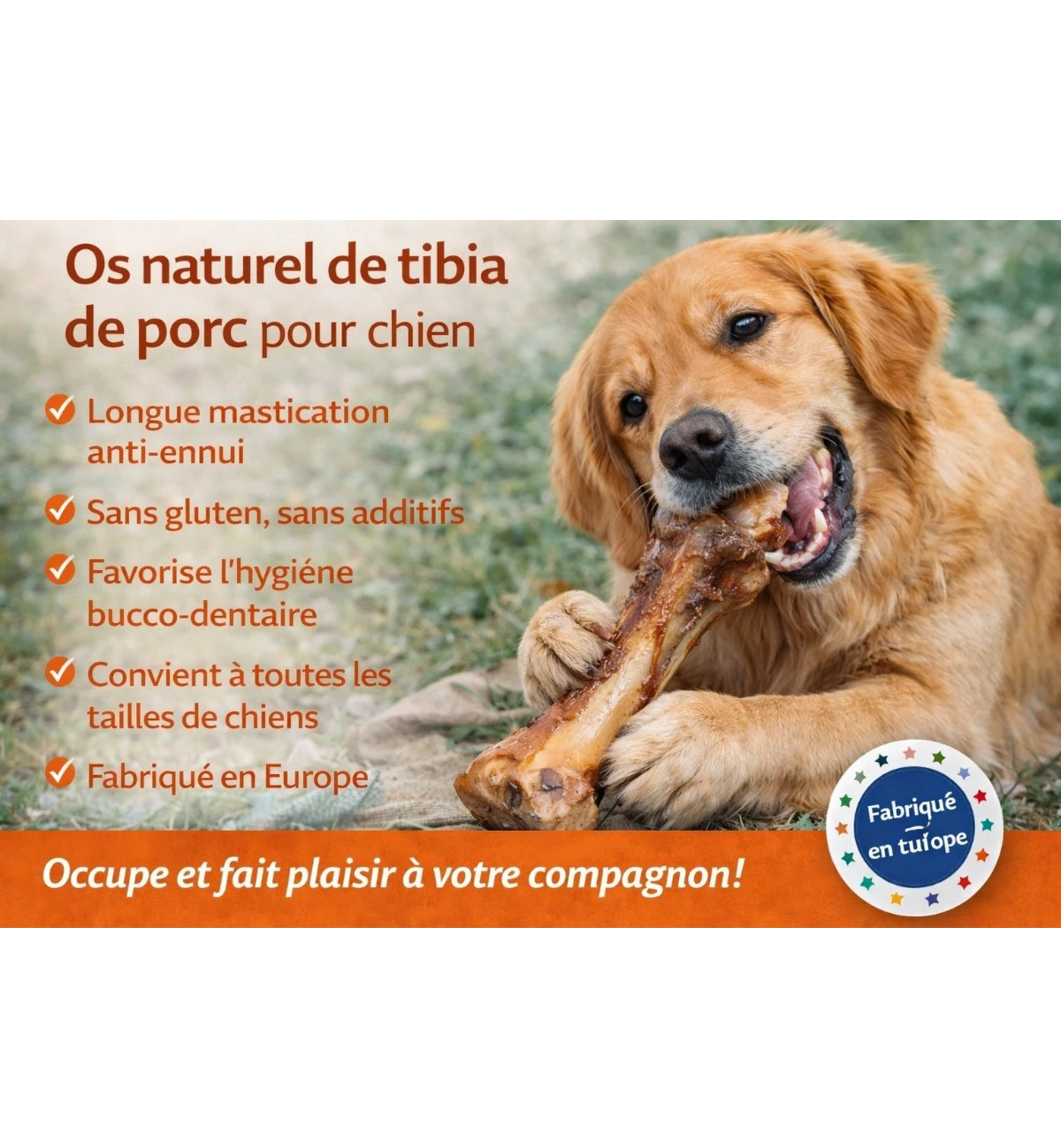 Friandises Nature Os de tibia de porc avec de la viande