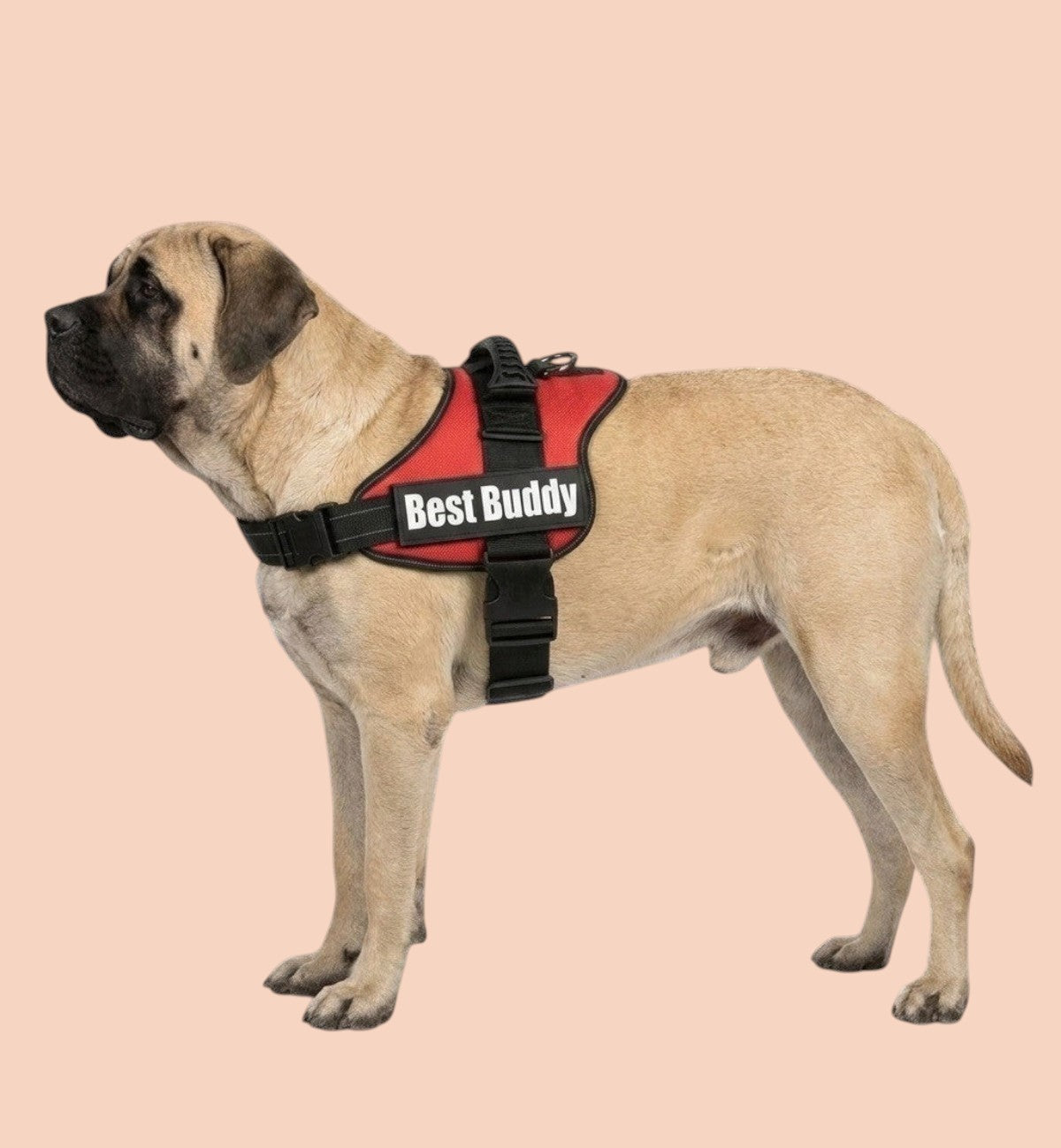 Harnais réglable pour grand chien Pluto rouge XL