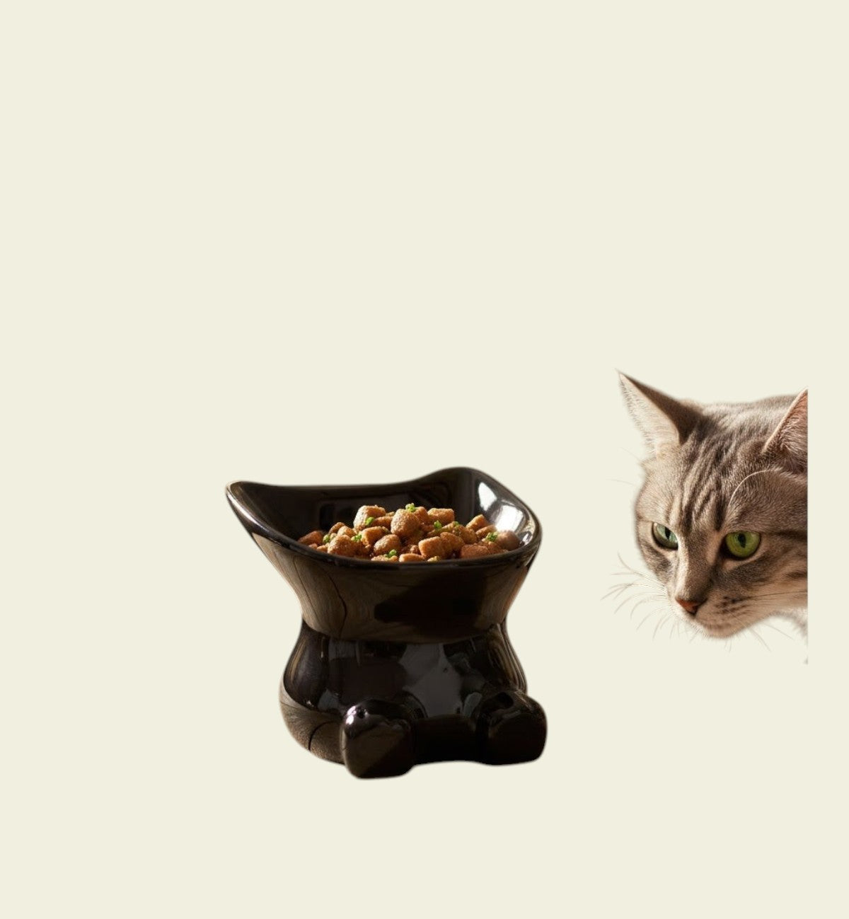 Gamelle pour chat 12 cm Dobby noir