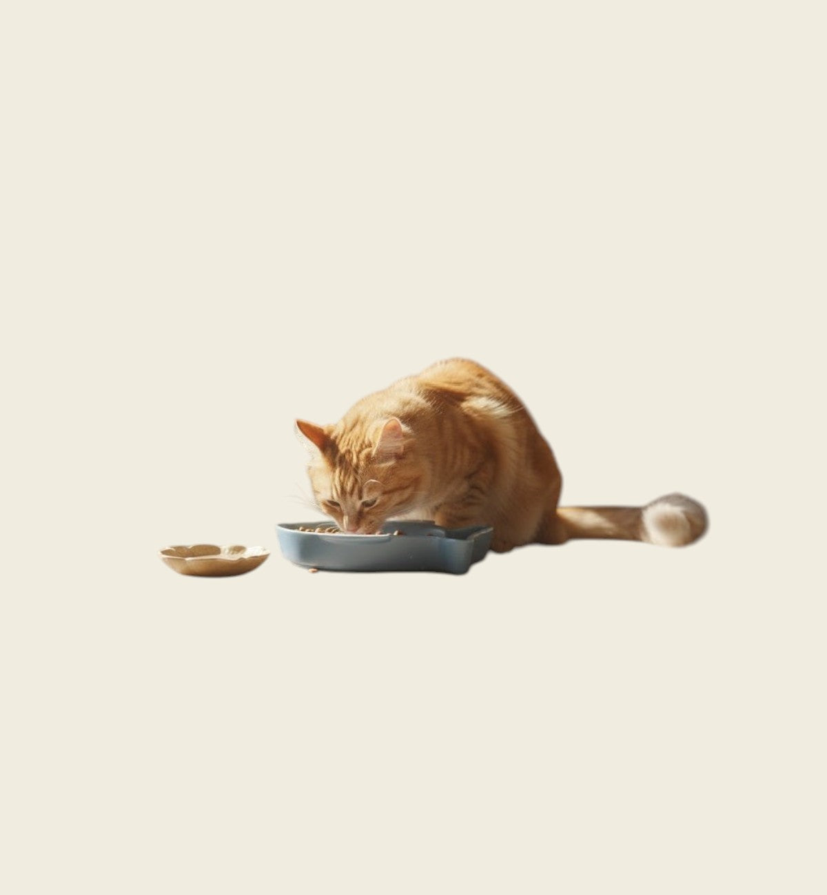 Gamelle pour chat 17 cm Fishie bleu