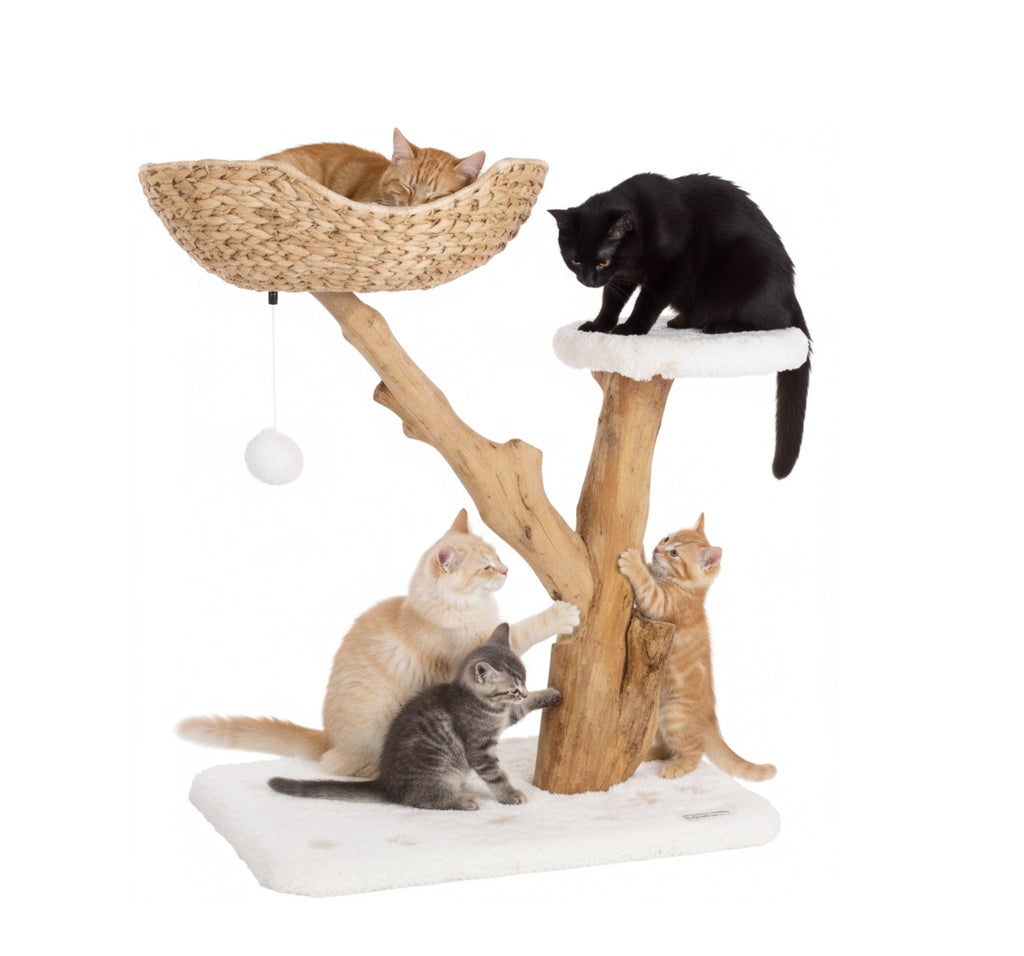 Arbre à griffer design avec panier