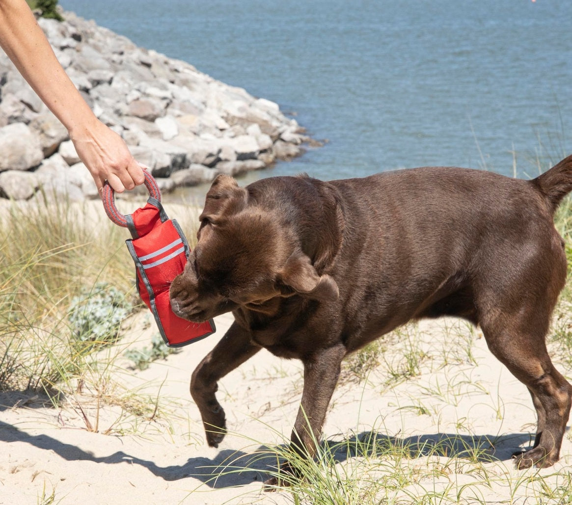 Jouet fitness pour chien - vue 3