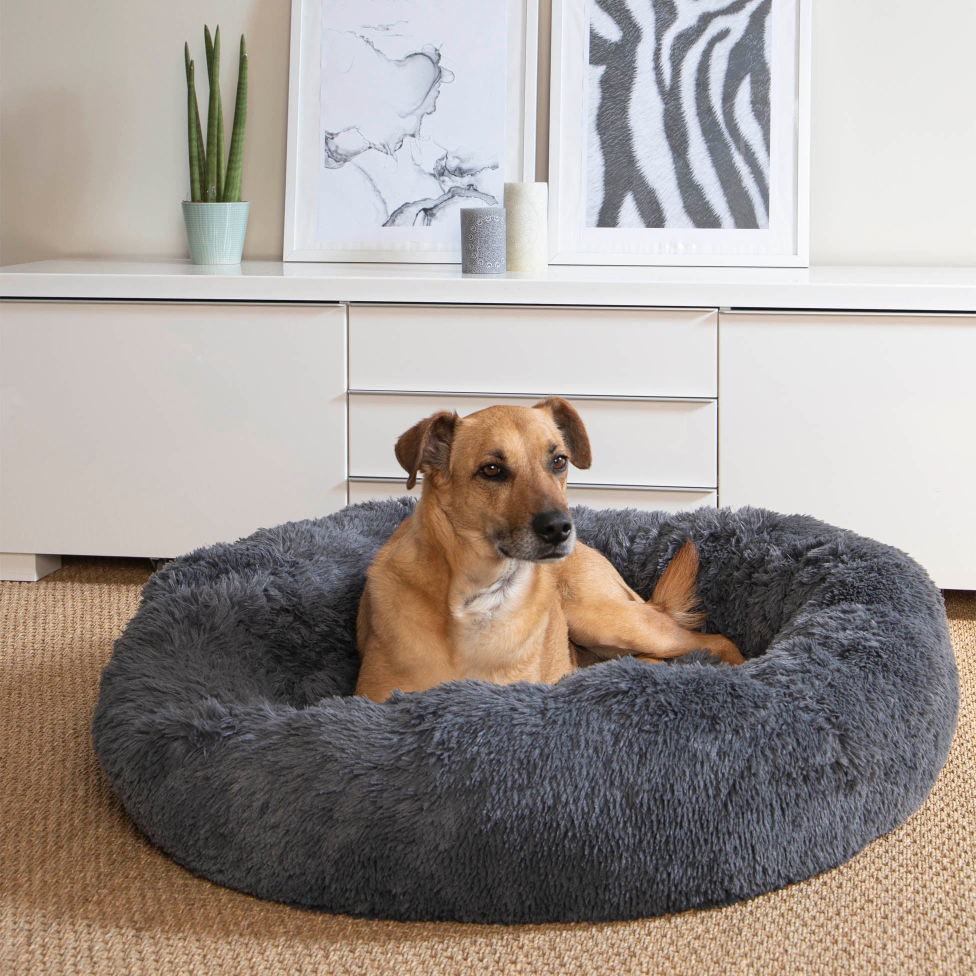 Coussin rond Chat ou Chien Relax Anthracite - vue 5