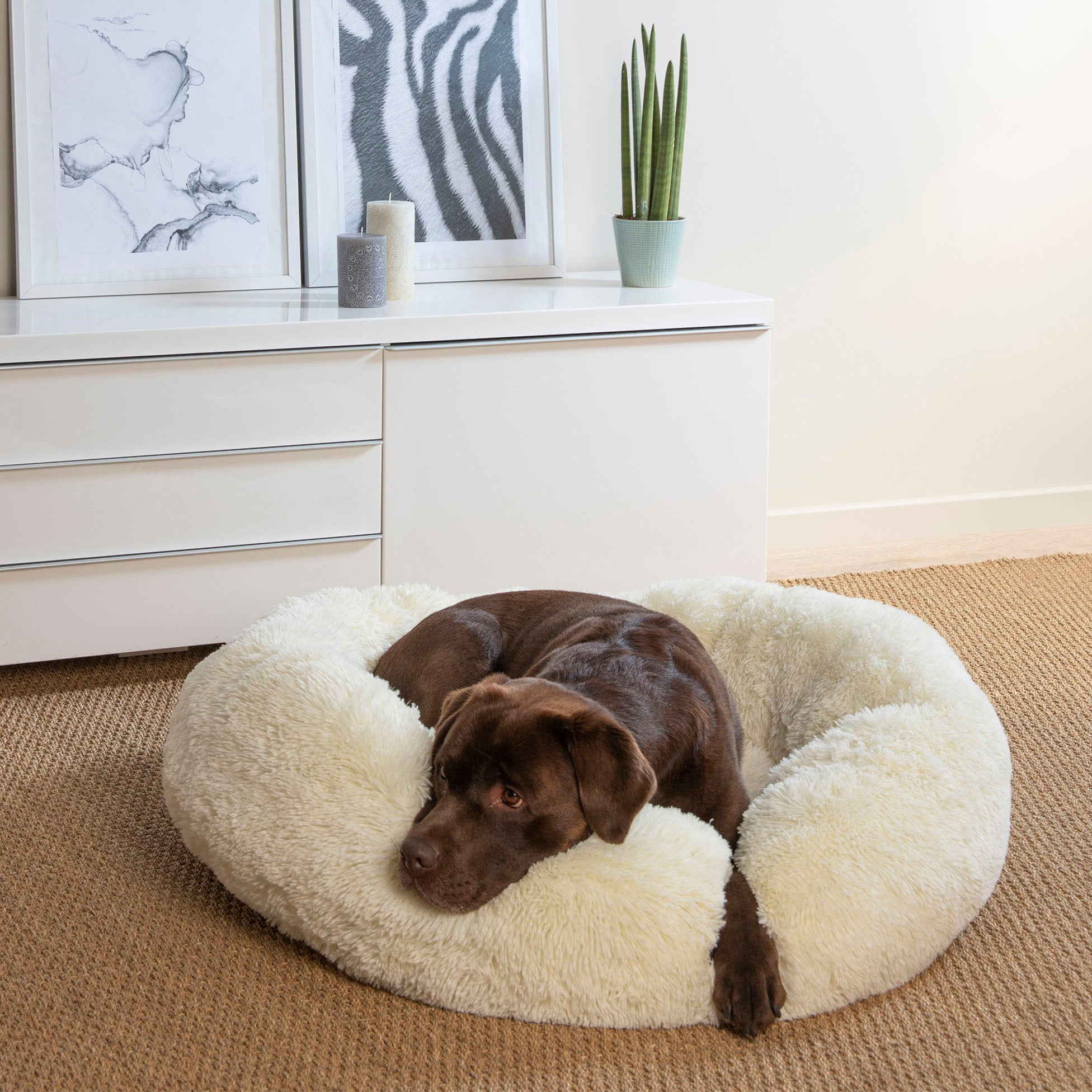 Coussin rond Chat ou Chien Relax Ecru - vue 5