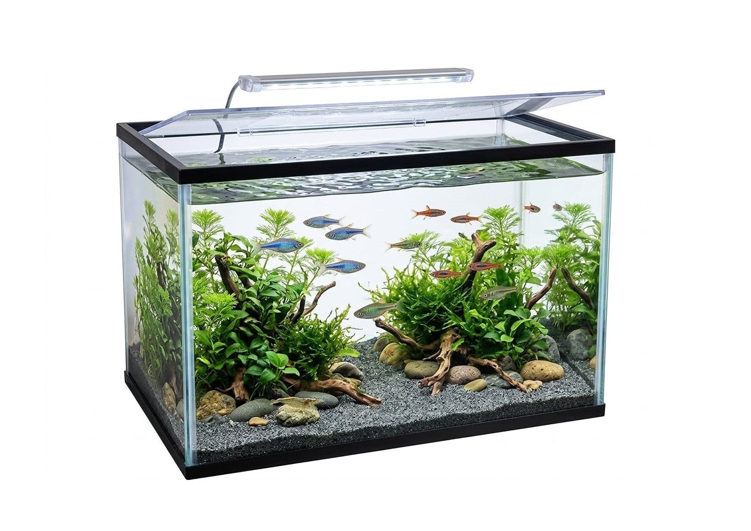 Kit Aquarium rectangulaire 16L avec filtre, gravier et épuisette