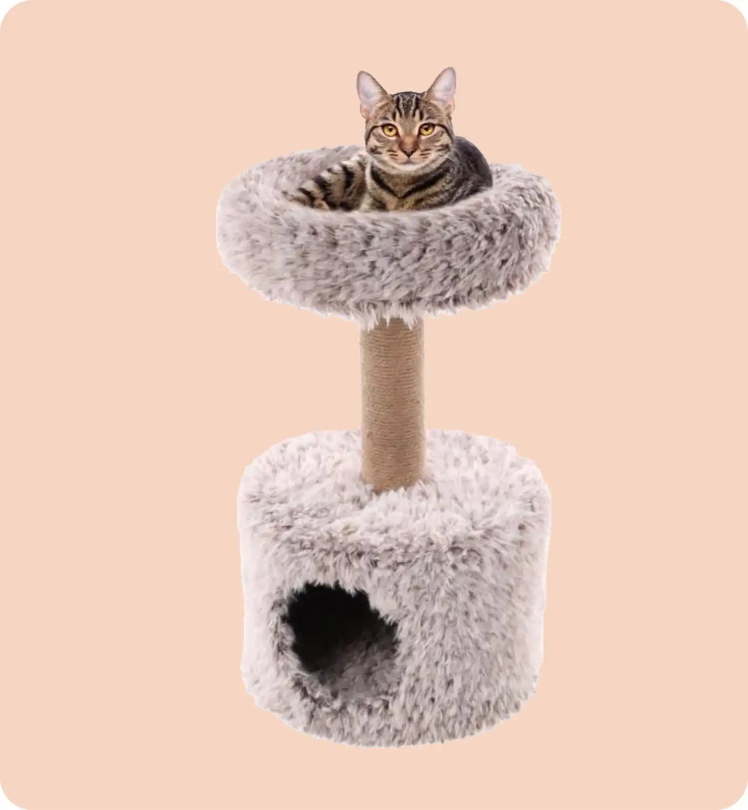 Arbre Griffoir chat avec cachette cosy