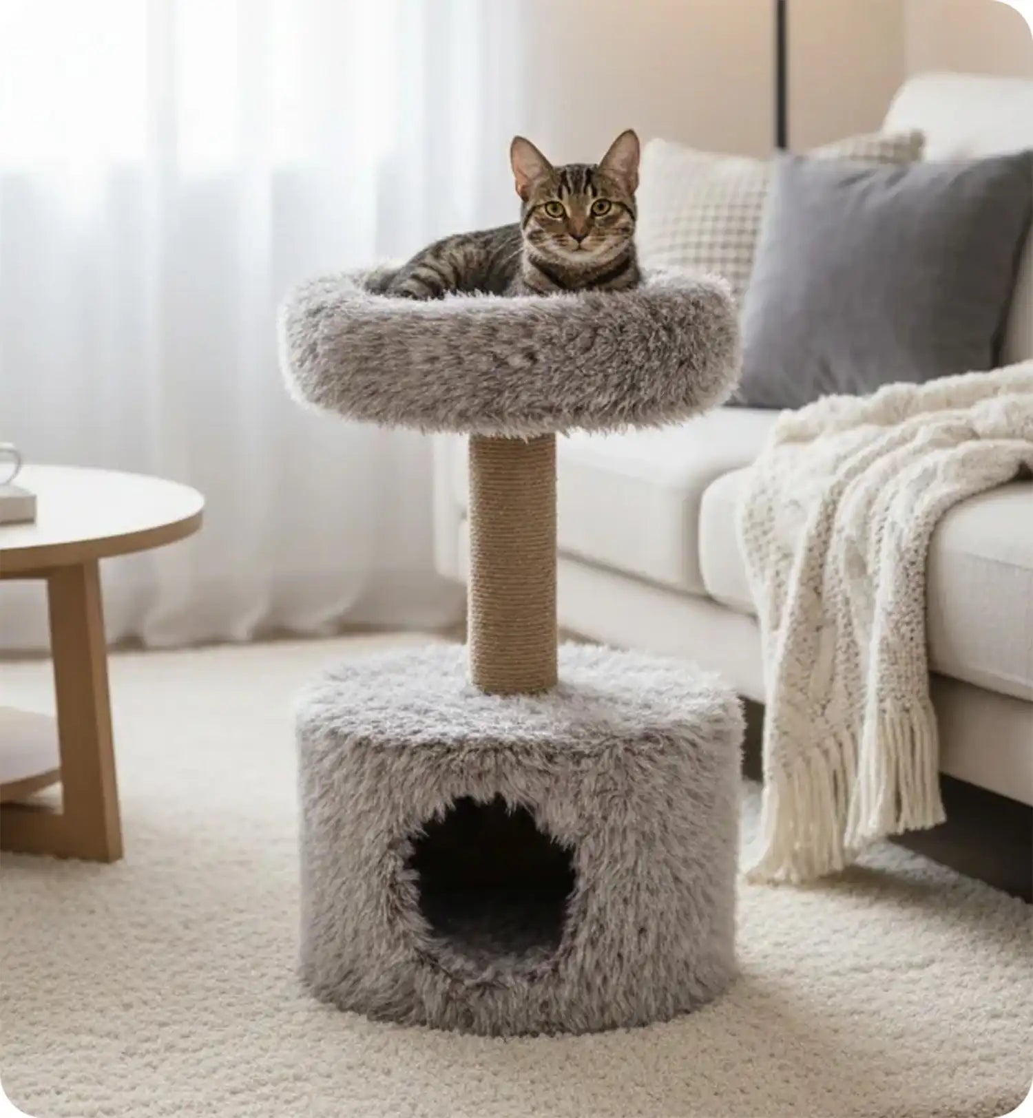 Arbre Griffoir chat avec cachette cosy