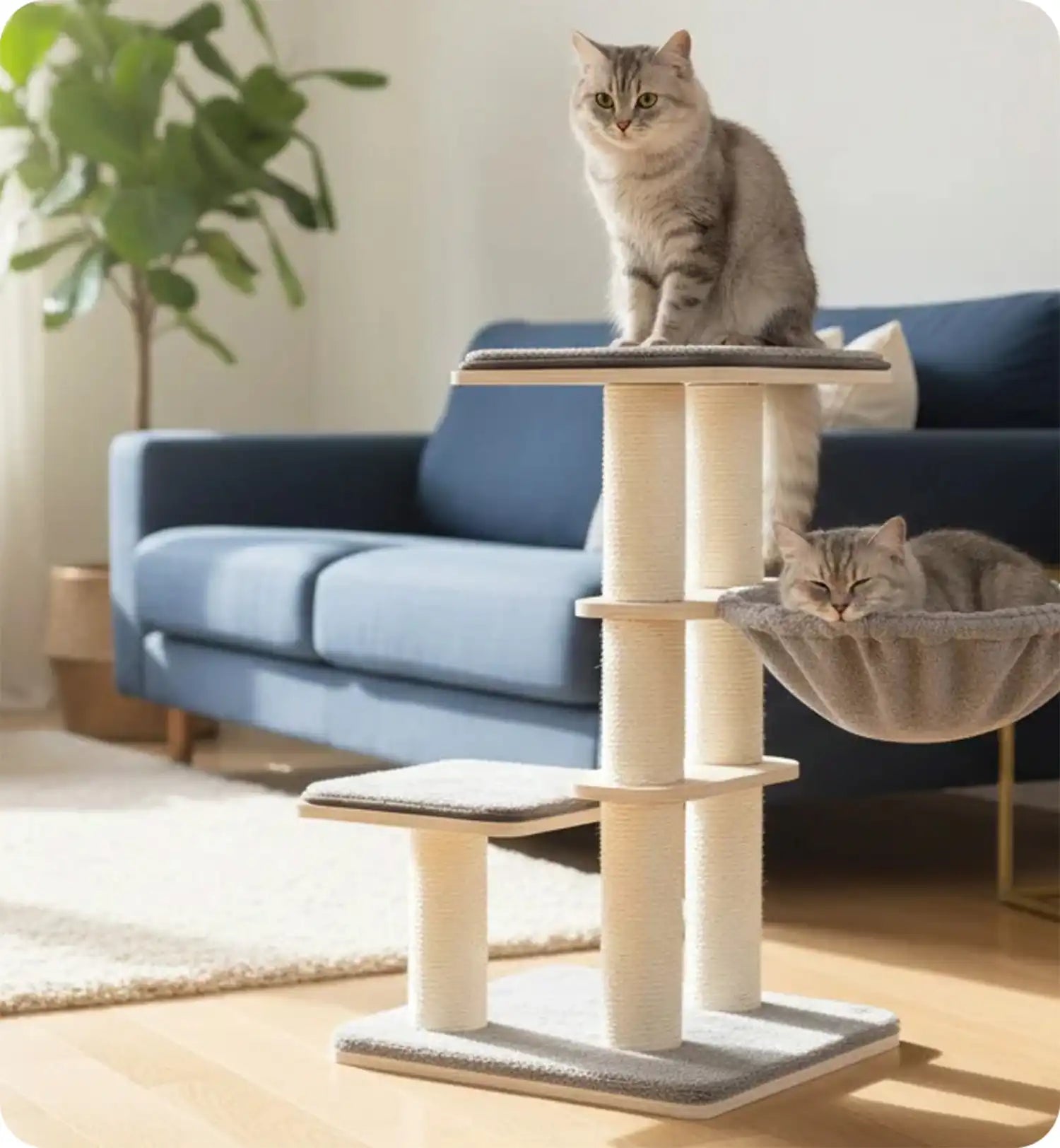 Arbre à chat avec hamacs et niche