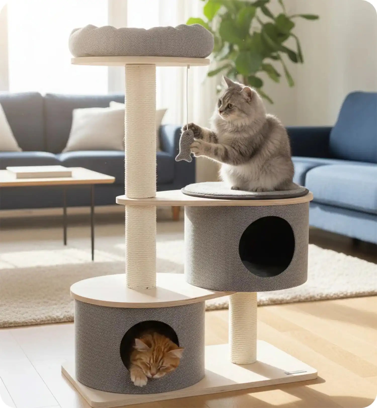 Arbre à chat avec niches et panier