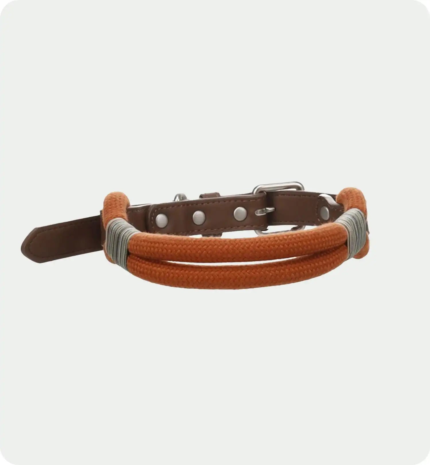 Collier pour Chien Athos - Cognac