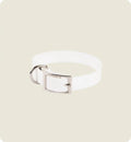 Collier pour Chien en Silicone - Blanc 30 cm max