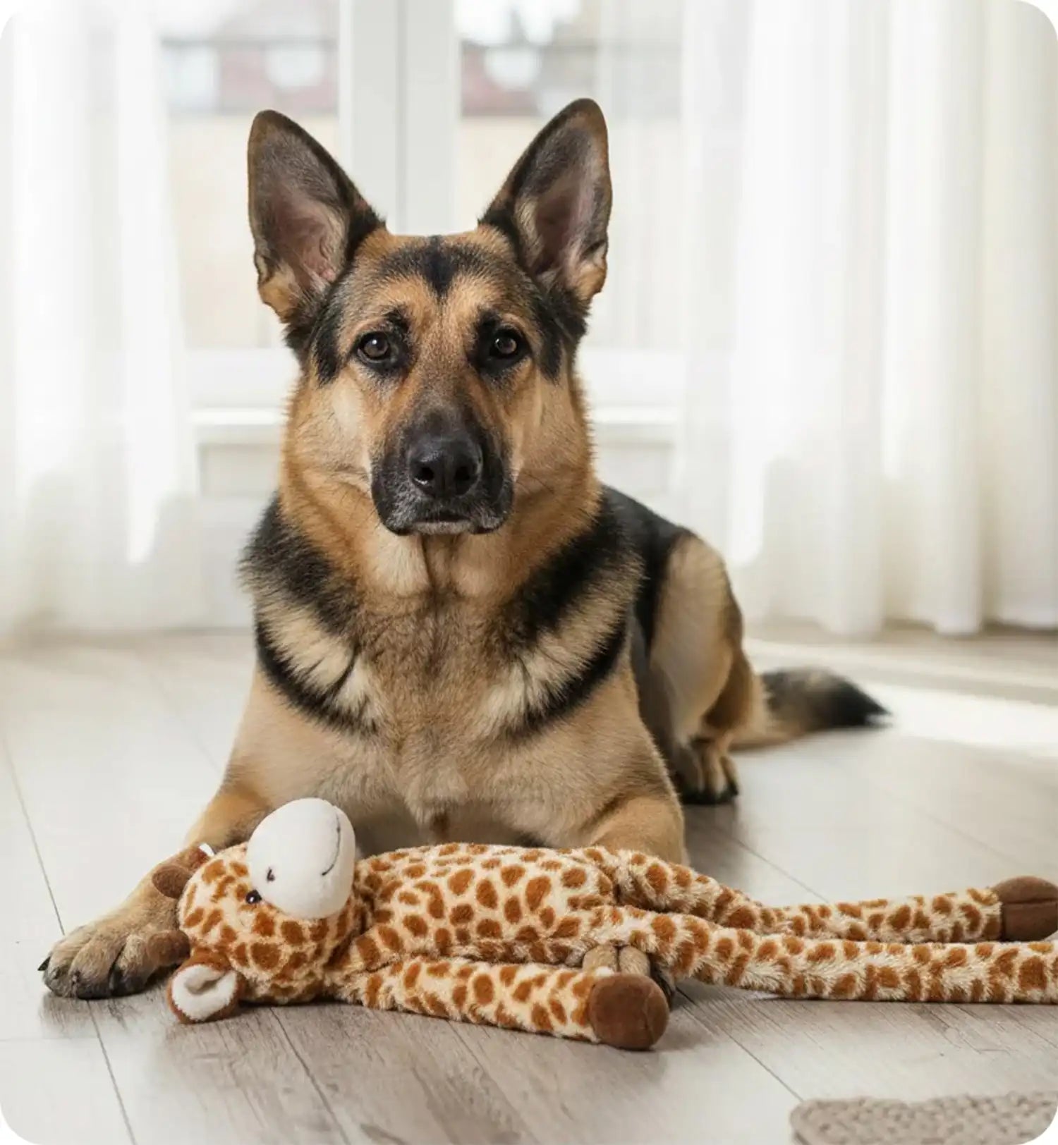 Jeu Geant sonore pour chien Garry Girafe en peluche