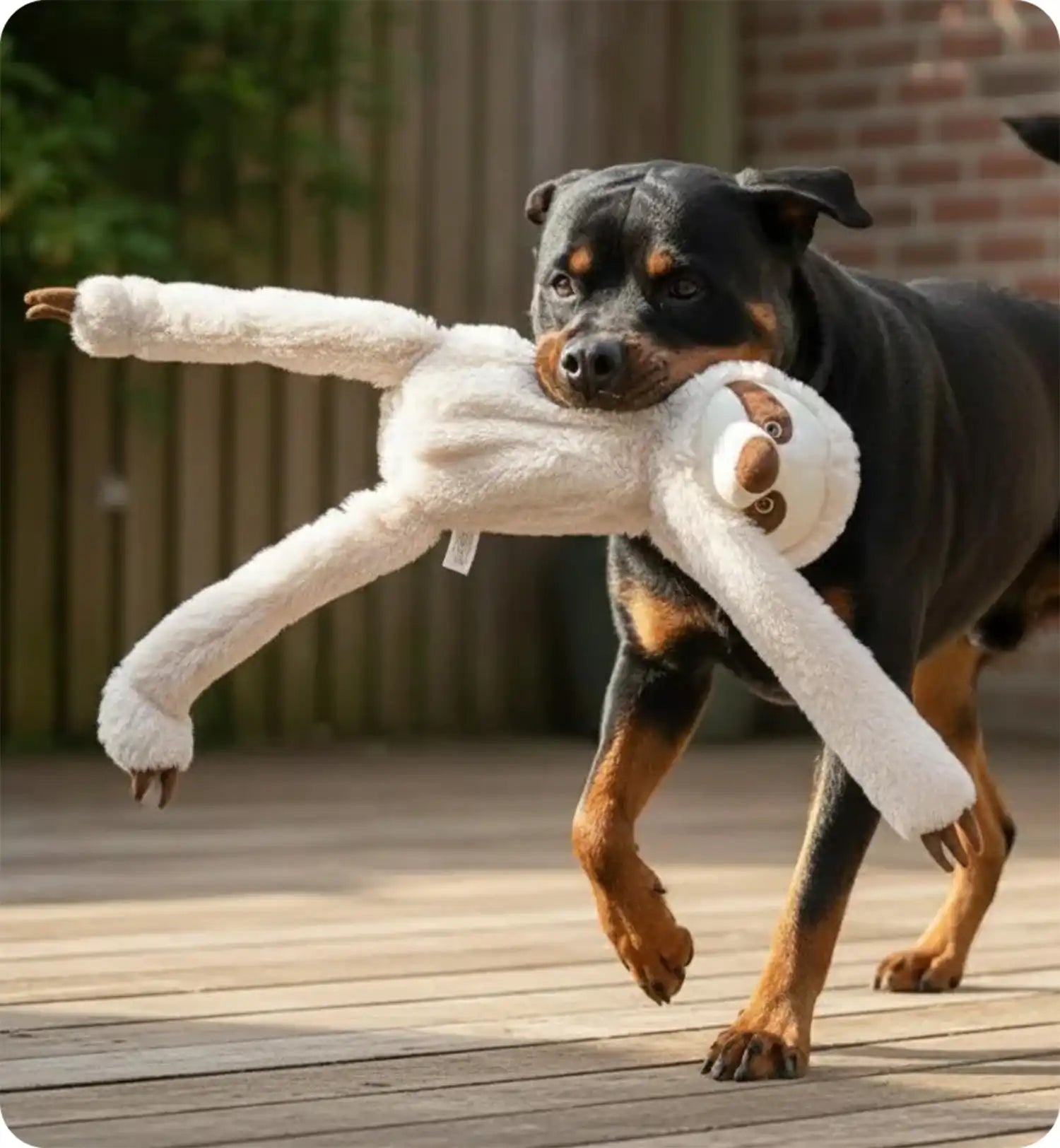 Jeu Geant sonore pour chien Paresseux en peluche