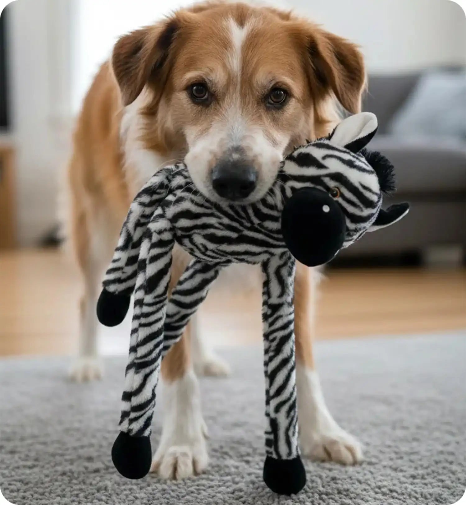 Jeu Geant sonore pour chien Zebre en peluche