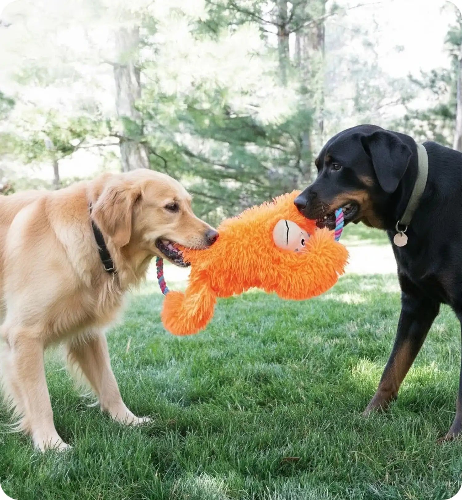 Jeu Kong pour chien Tuggz Singe Orange