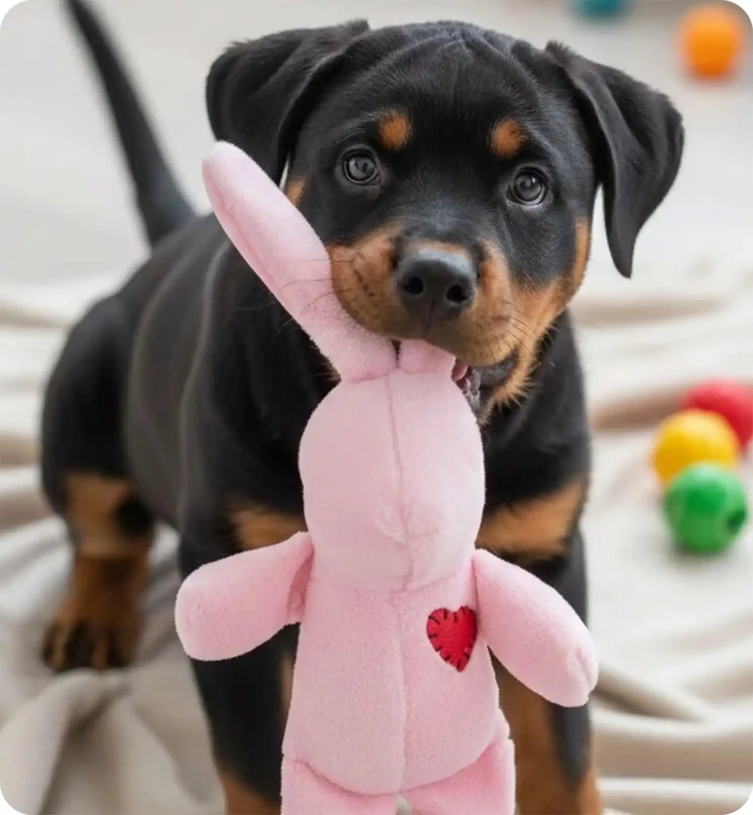 Jeu en peluche Lapin avec un coeur