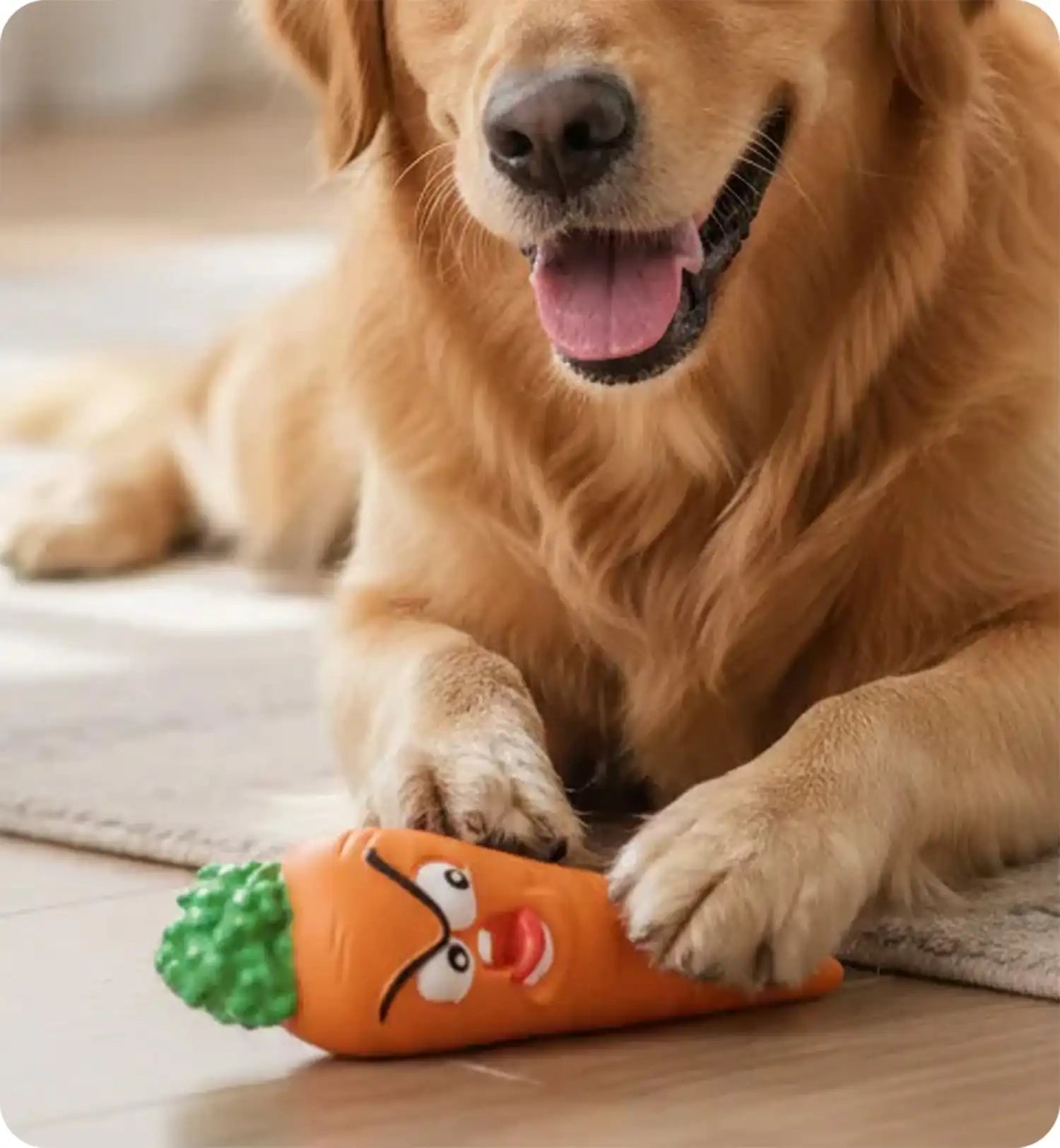 Jeu pour chien Fruco l'orange sonore