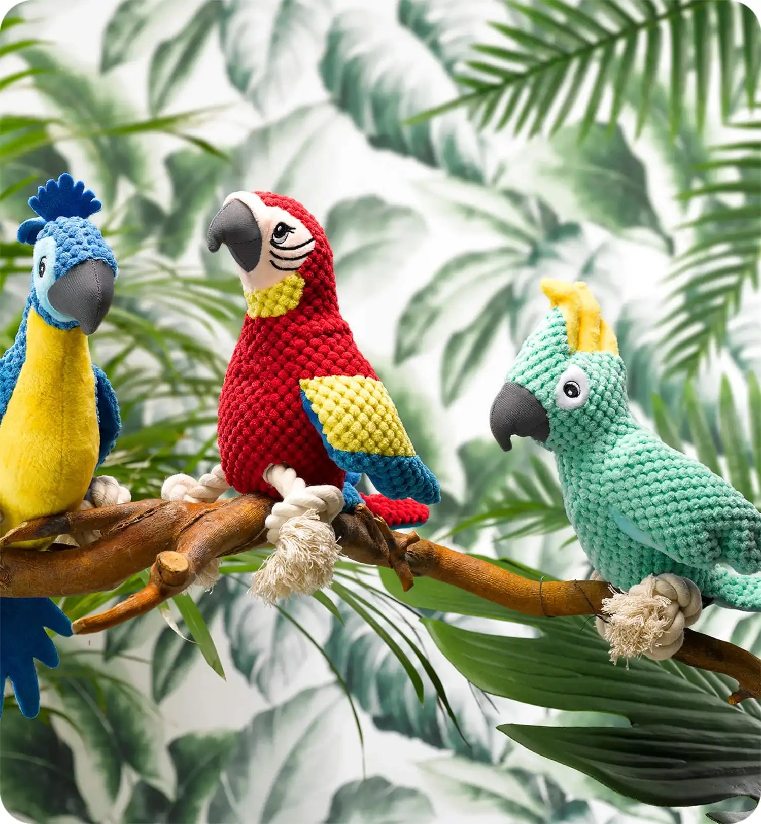 Jouet peluche Pablo le perroquet corde pour chien