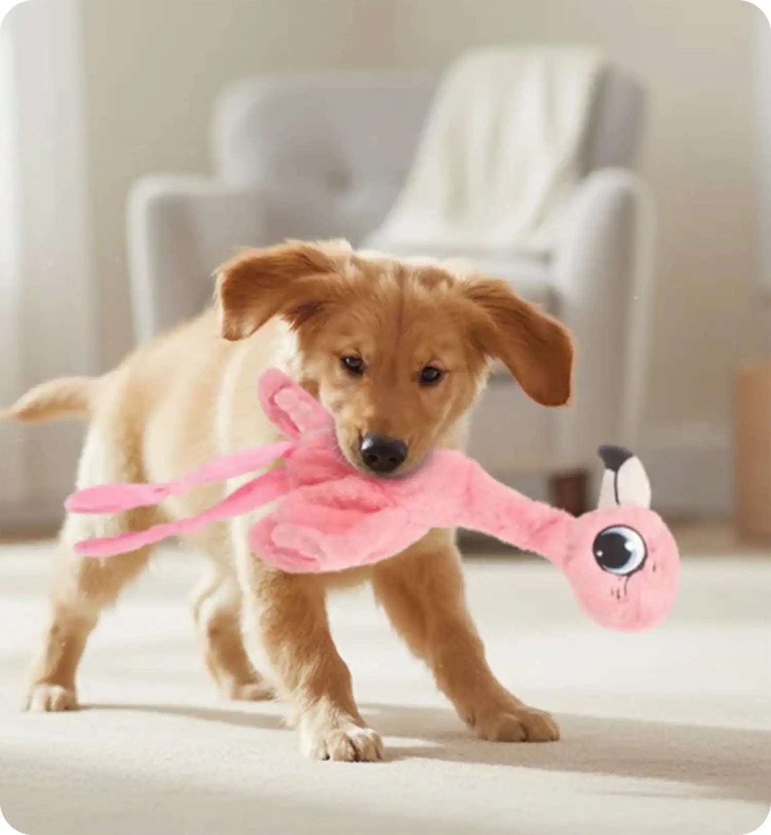 Peluche Flamant rose grand yeux pour chien