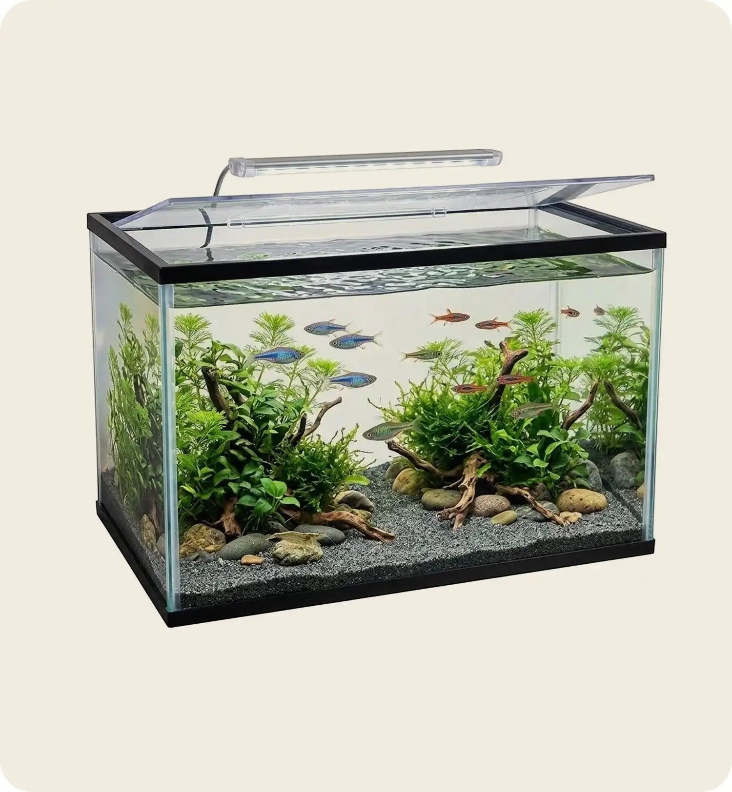 Animozen aquarium rectangulaire 16L en verre avec plantes aquatiques, gravier et poissons bleus et rouges, éclairage LED inclus.
