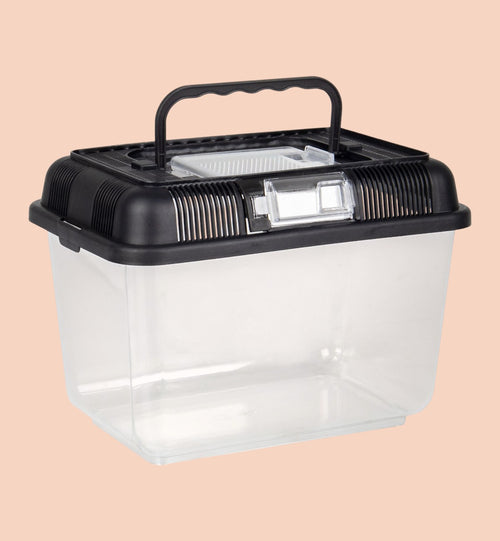 Boîte de transport transparente et noire en polystyrène pour poissons, reptiles, insectes et rongeurs, avec poignée et aération.