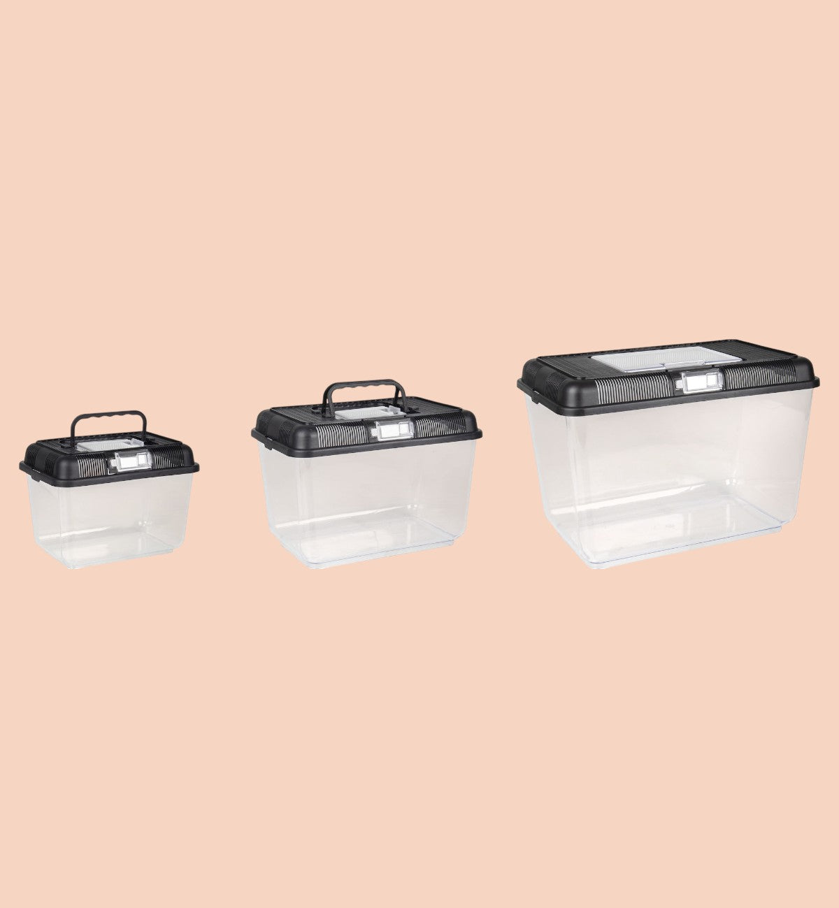 Boîte de transport transparente et noire en polystyrène pour poissons, reptiles, insectes et rongeurs, par Animozen