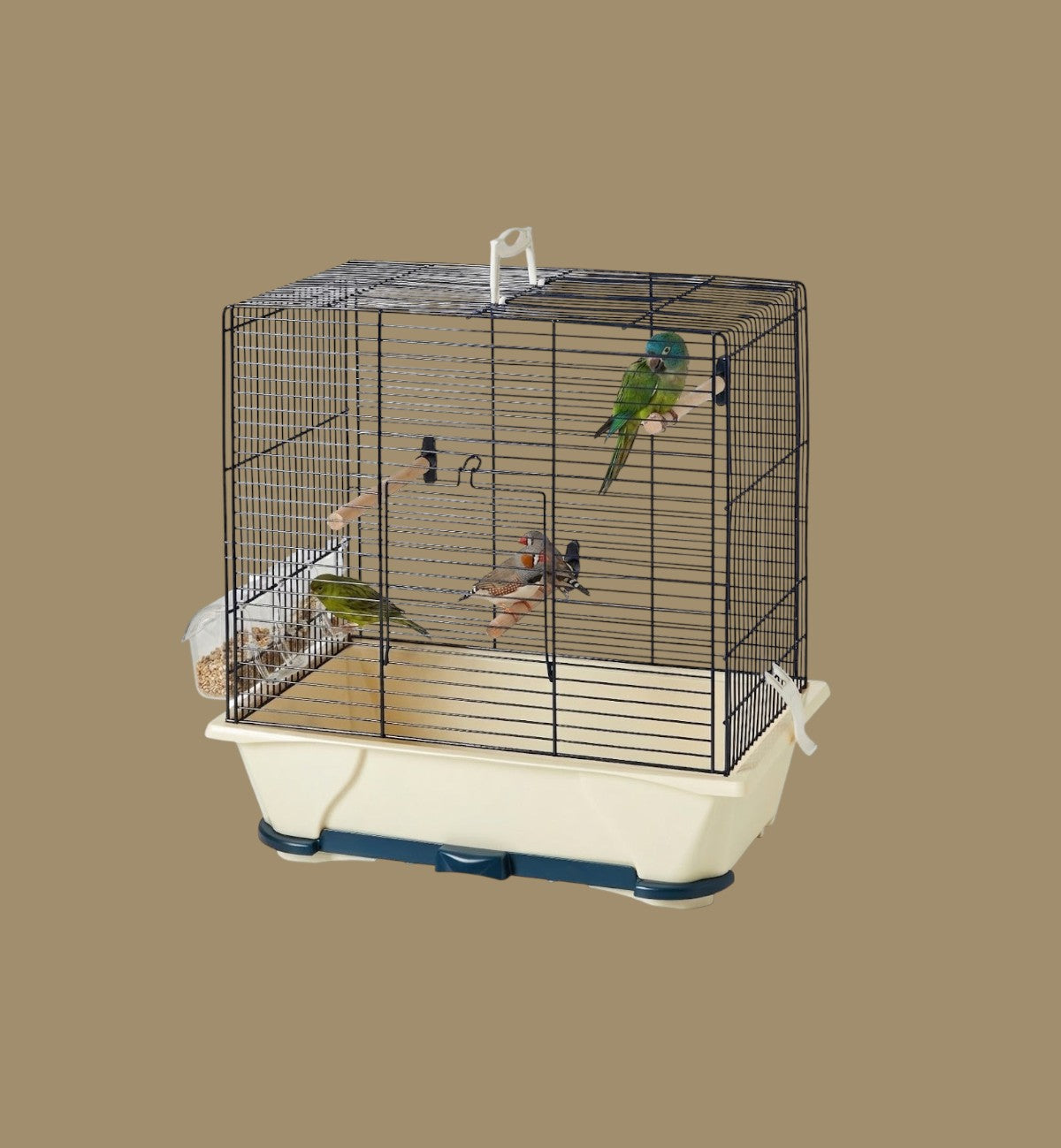 Animozen cage à oiseaux en métal noir et ivoire avec 3 perchoirs et 2 oiseaux, 41 cm