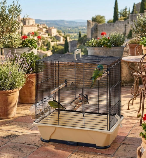 Cage à oiseaux Animozen en métal noir et ivoire, 41 cm, avec 3 perchoirs et 2 oiseaux.