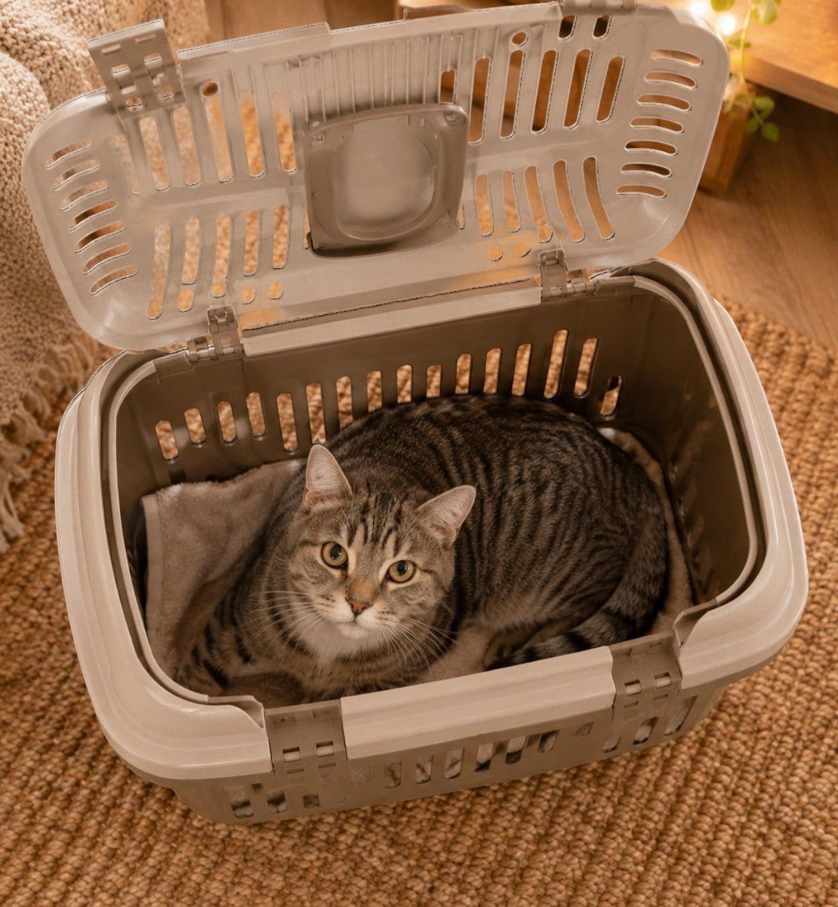 Animozen Cage de transport pour chat beige en plastique, ouverture supérieure, poignée ergonomique, 48,5 cm