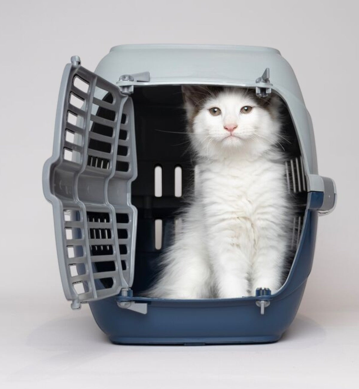 Cage de transport Animozen Noah 2 bleu et gris pour chat, en plastique recyclé, avec porte avant et aérations.