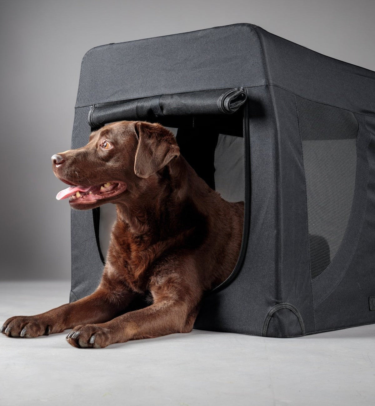 Cage de transport noire Gepetto en nylon et métal pour chien, avec ouverture zippée sur le devant. Un labrador marron est couché à l'extérieur.