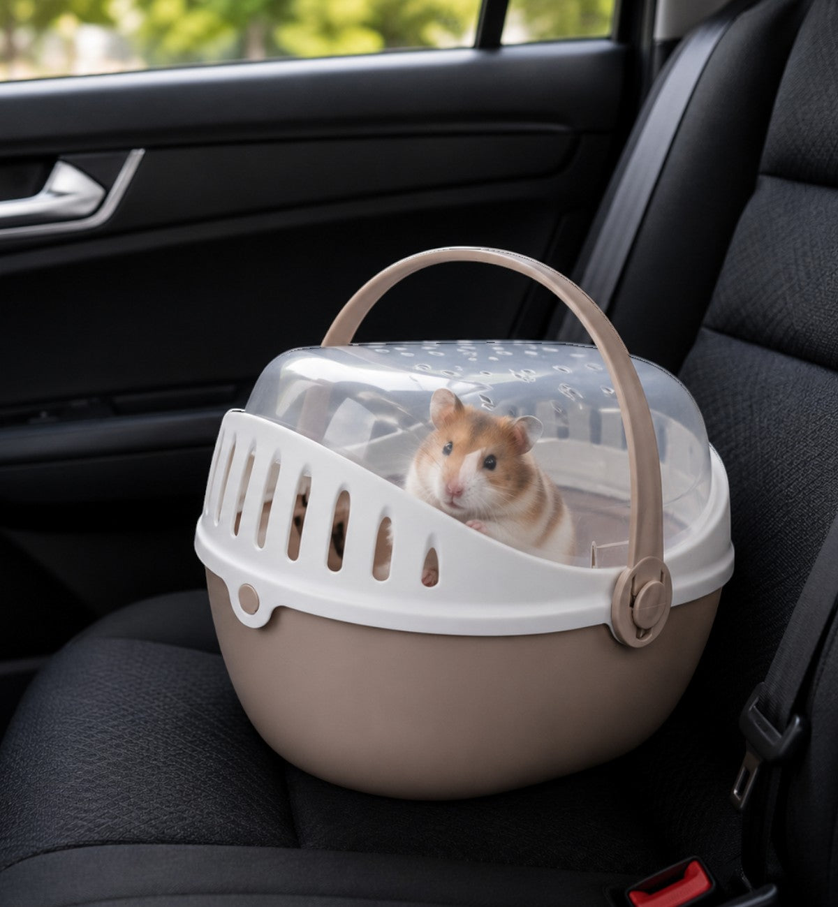 Animozen Cage de Transport Elmo taupe en plastique avec hamster, 36x28x22cm, idéale pour le transport sécurisé.