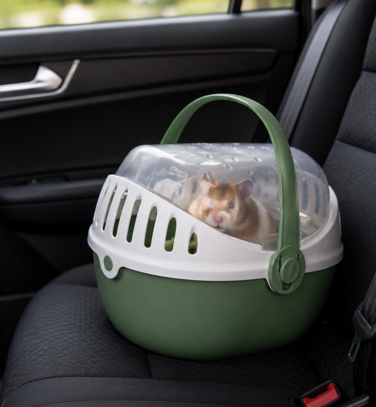 Animozen Cage de Transport Elmo verte pour rongeur en plastique, avec poignée et aérations, idéale pour le transport.