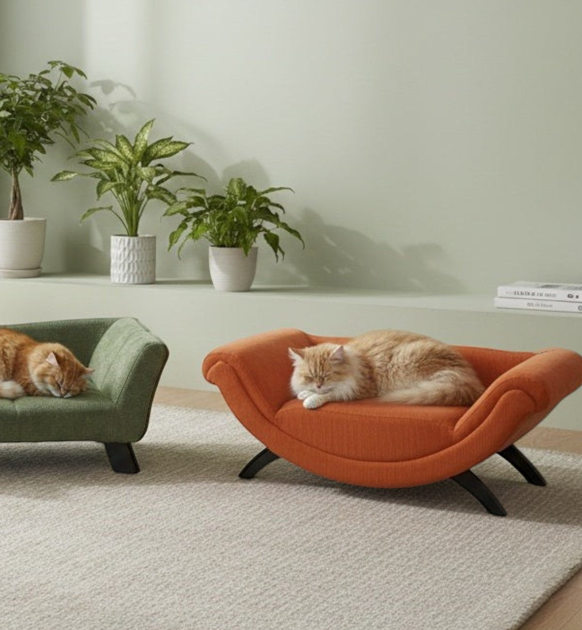 Animozen Canape Dingo orange pour chien ou chat, design moderne, tissu doux, 80x43x28 cm