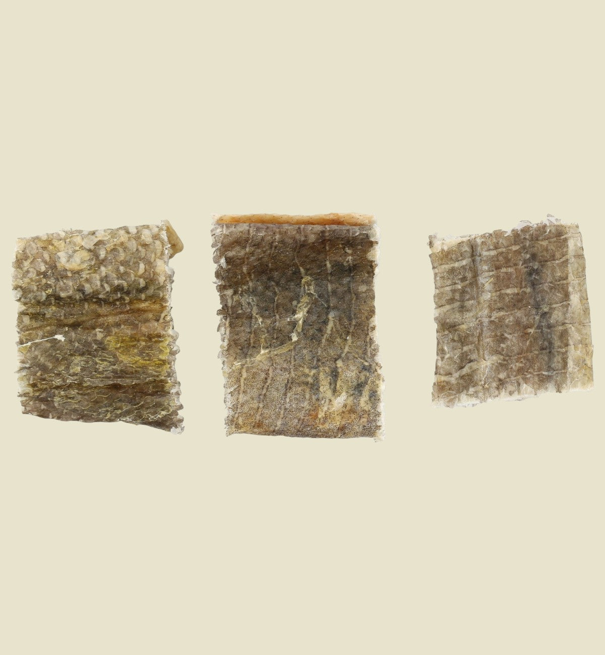 Animozen natural cod skin dog treats, textured and dried, rich in protein and Omega 3 & 6.