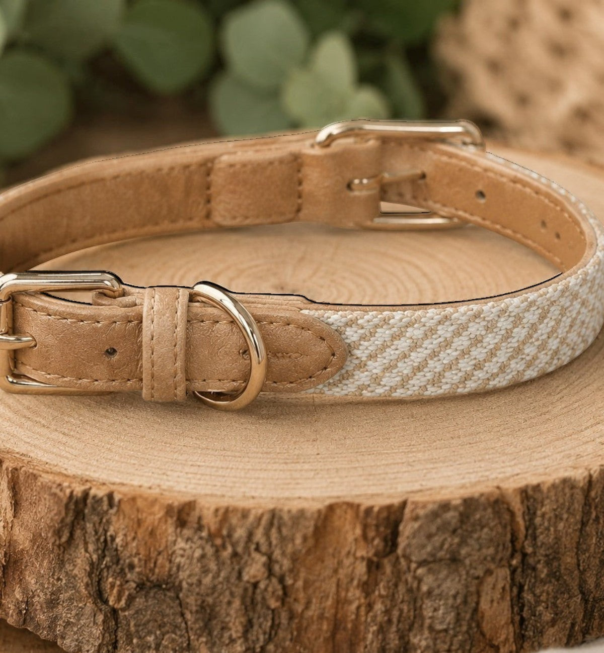 Collier pour chien Animozen Lara beige en coton tressé et similicuir avec finitions dorées et boucle réglable.