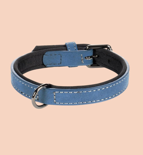 Collier pour chien Animozen bleu en similicuir avec doublure néoprène, boucle grise et coutures blanches