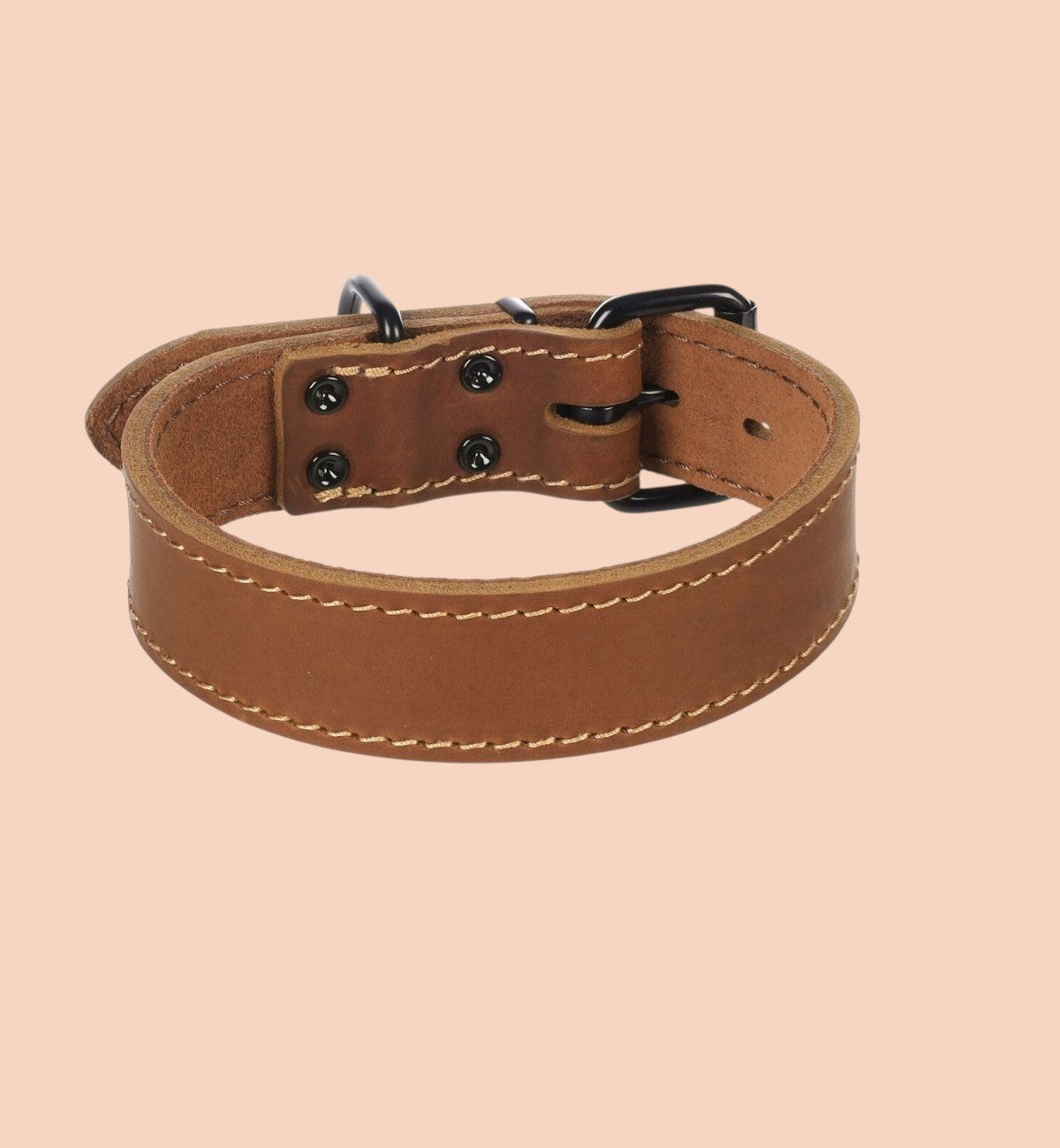 Collier Animozen Montana en cuir marron pour chien, boucle réglable, finitions noires