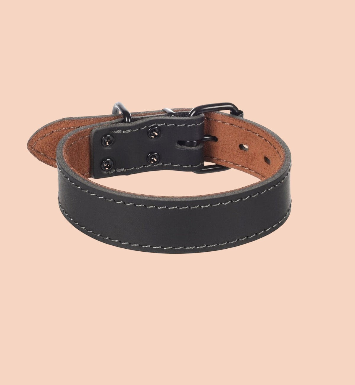 Collier Animozen Montana en cuir noir pour chien, boucle réglable, coutures contrastantes, finitions métalliques noires.