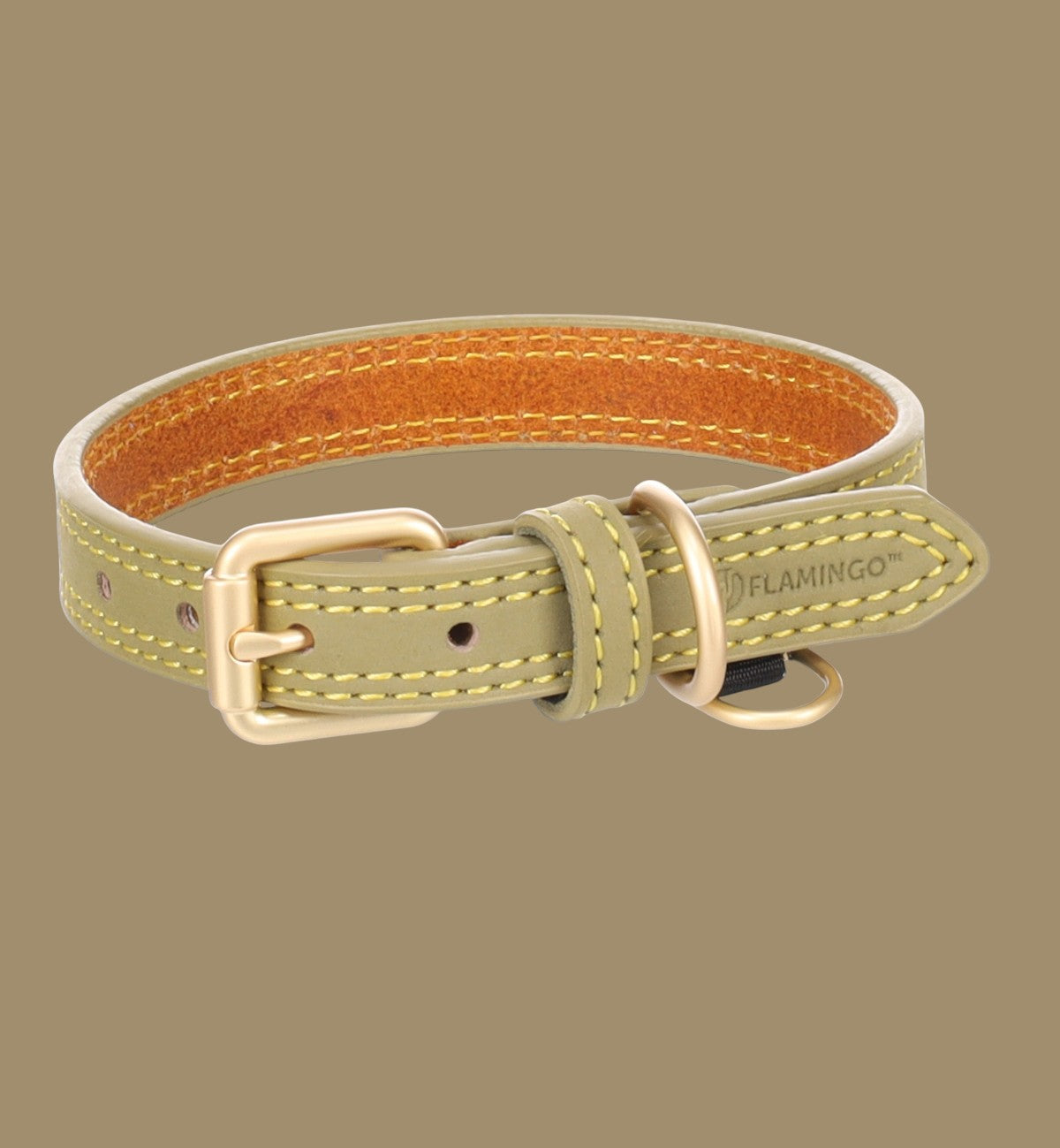 Collier pour chien Animozen Virginia vert en cuir de vachette avec boucle dorée mate et coutures renforcées.