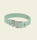 Animozen collier pour chien en silicone vert menthe, taille S, avec boucle en métal argenté.