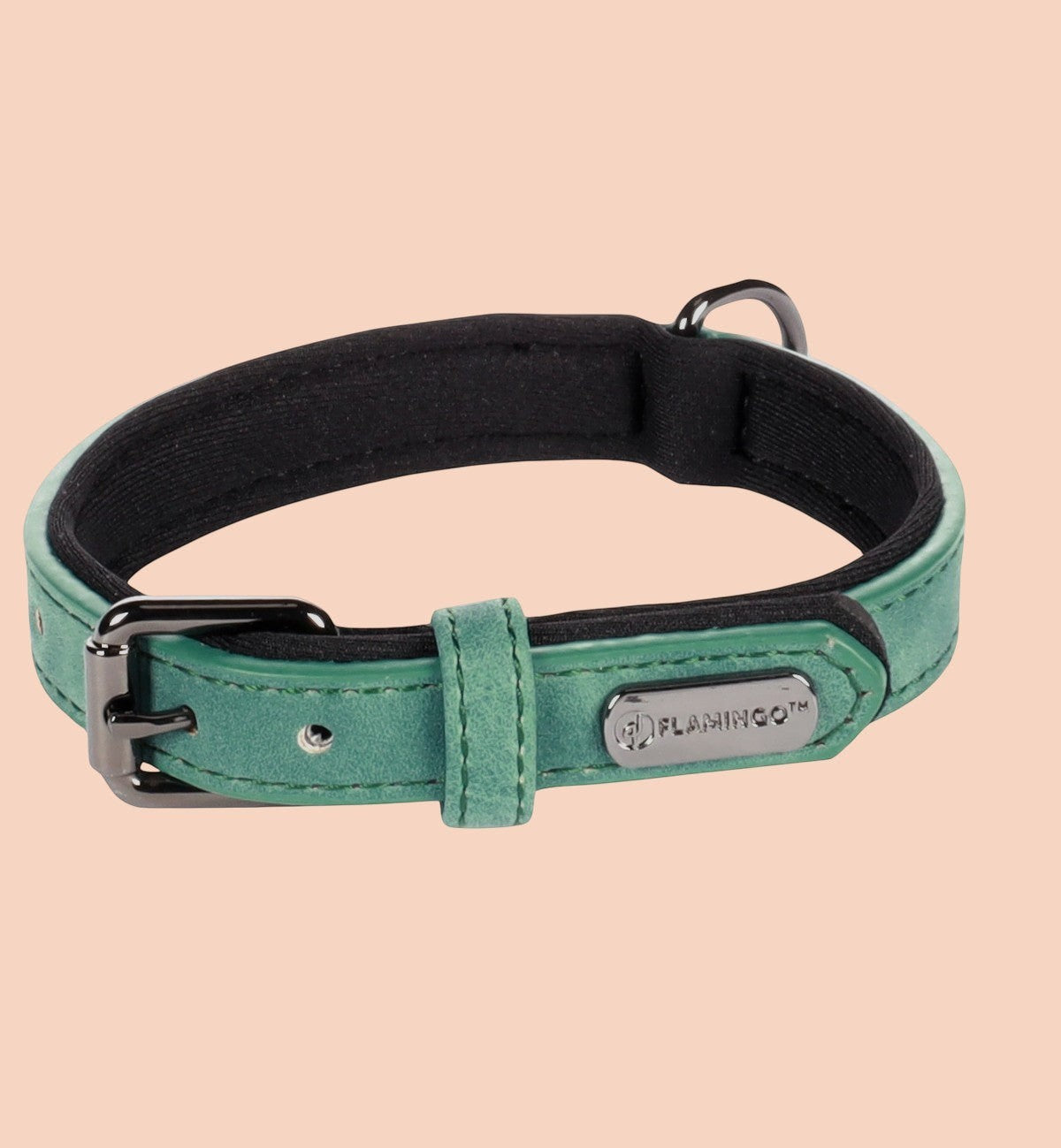 Collier pour chien Animozen vert en similicuir avec doublure néoprène, boucle grise et anneau pour laisse.