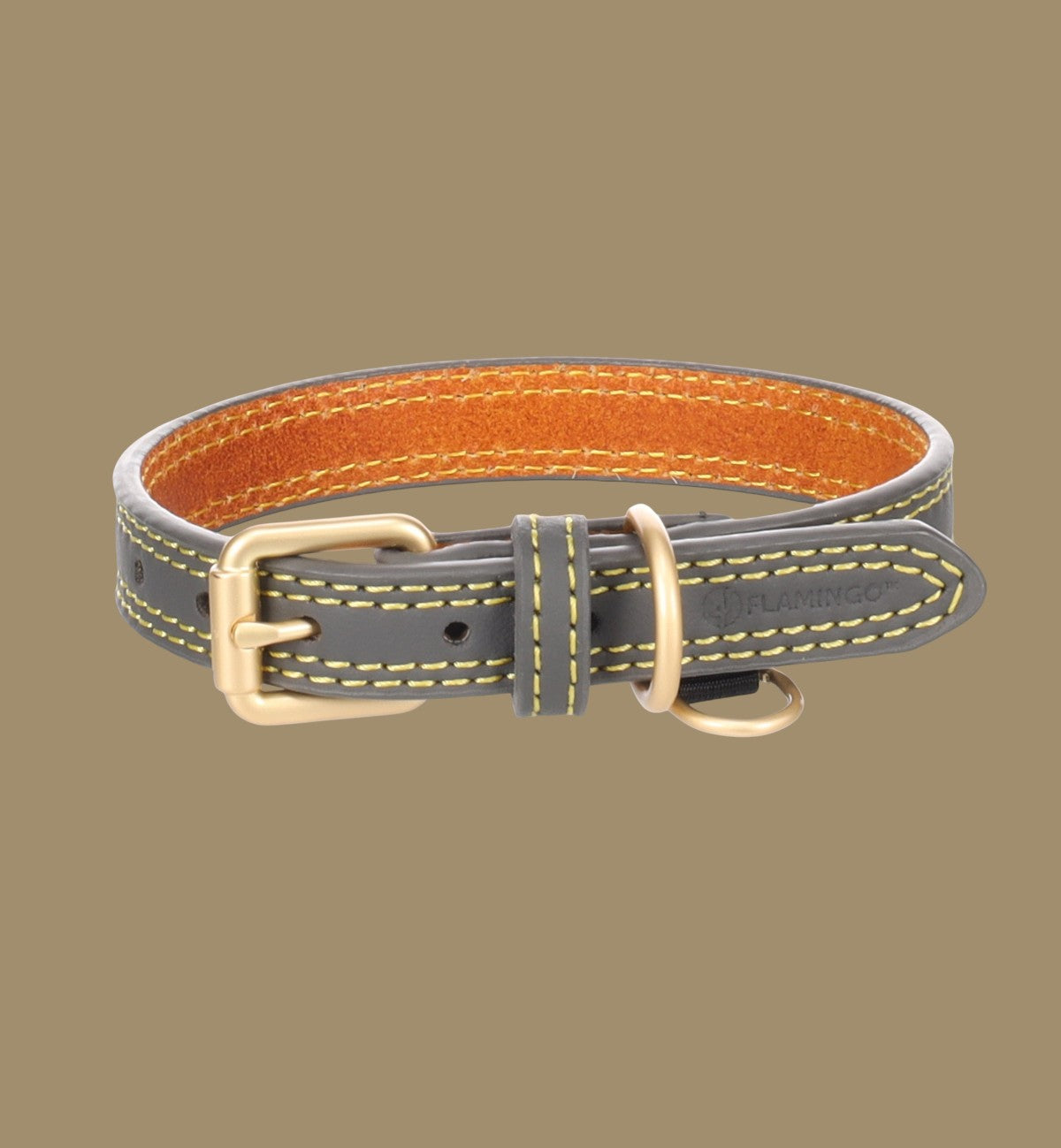 Collier pour chien Animozen Virginia en cuir gris avec surpiqûres jaunes et boucle dorée. Doublure intérieure orange.