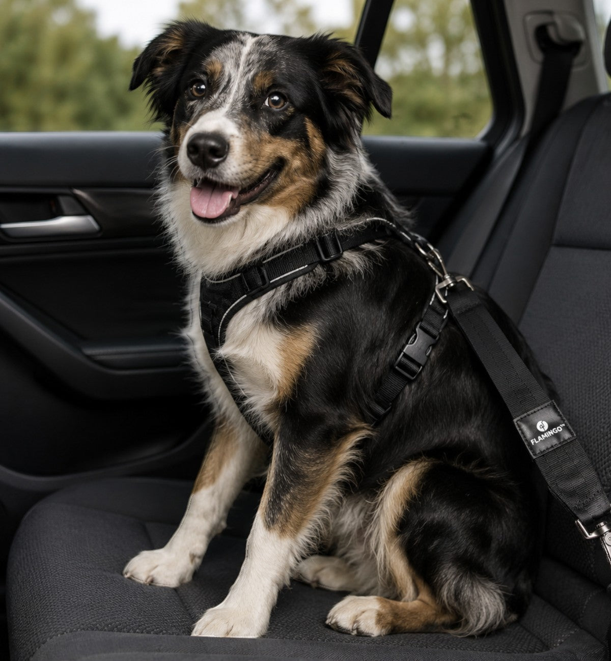 Animozen Connecteur pour Ceinture pour Chien Fides noir en polyester et métal, 23 cm, pour des trajets en voiture sécurisés.