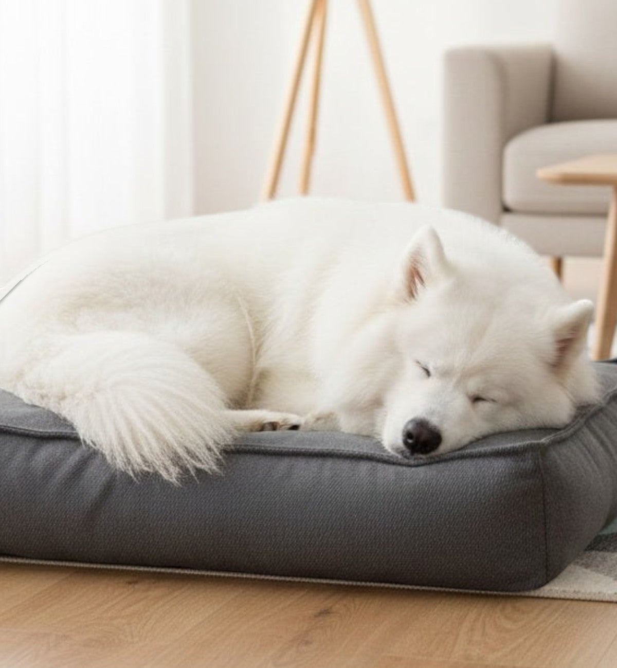Animozen coussin rectangulaire gris foncé pour chien en textile avec rembourrage en mousse à mémoire de forme, 18 cm d'épaisseur.